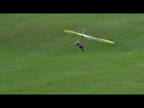 Icaro laminar Easy 14 VG 2004