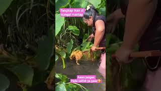 Download lagu Tangkap ikan di sungai #outdoors #fishing #survival #hunting #jiaamalia20 #jiasurvivalskils #cooking mp3 Download lagu Tangkap ikan di sungai #outdoors #fishing #survival #hunting #jiaamalia20 #jiasurvivalskils #cooking mp3