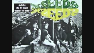The Seeds - Lose Your Mind
