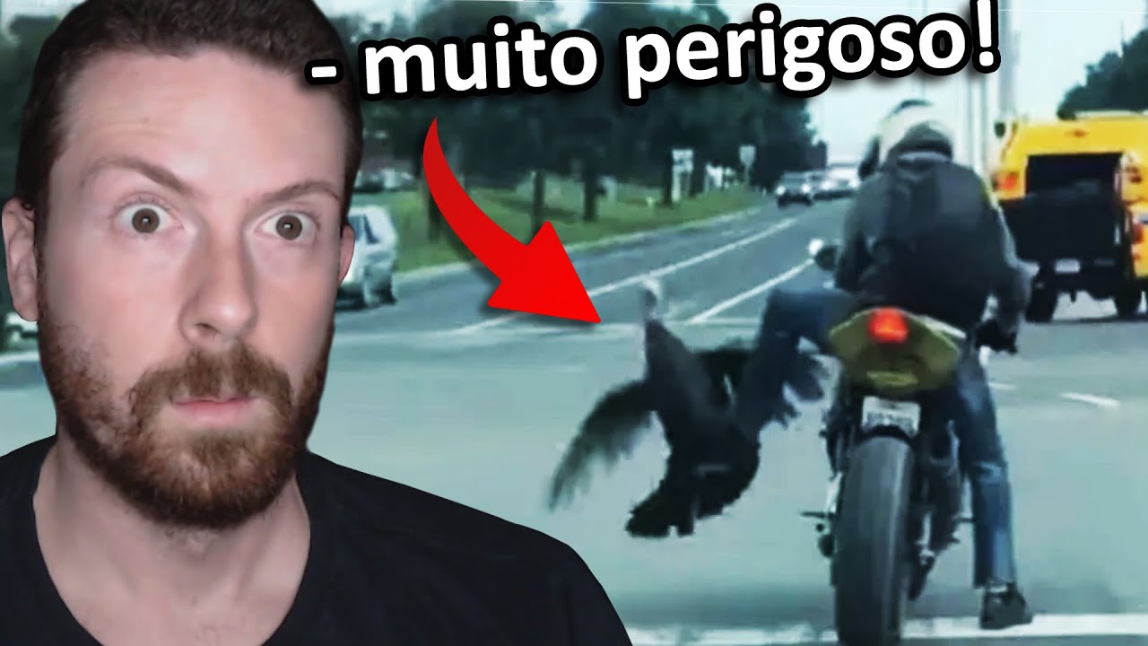 Quando a natureza SE REVOLTA...