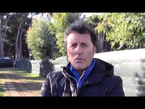 Lemon Bowl 2015 - Quarti di finale