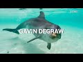 Gavin DeGraw You Got Me Subs Español