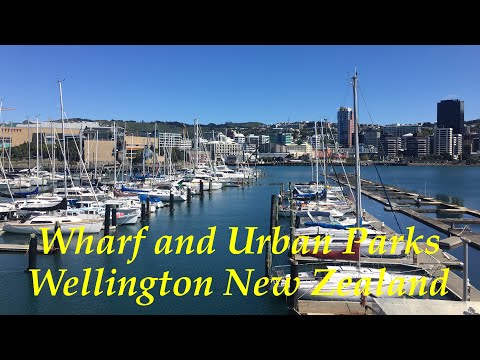Wharf and Urban Parks Wellington New Zealand | NZ Spring 2020 | Exploring New Zealand
