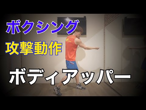 ボディアッパーの打ち方 攻撃動作 ボクシング 格闘技