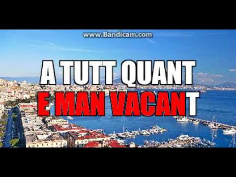 SYNKRO F.STACO .... CICIRENELLA