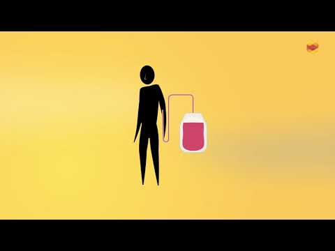 Kurz erklärt: Wie funktioniert eine Stammzellenspende?