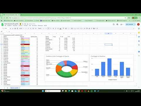 Grafico a torta ed istogramma a barre con google fogli