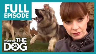 Thumbnail del capítulo