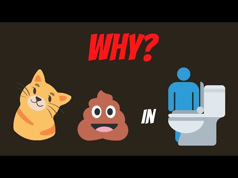 Why Cat Poop In My Toilet?
