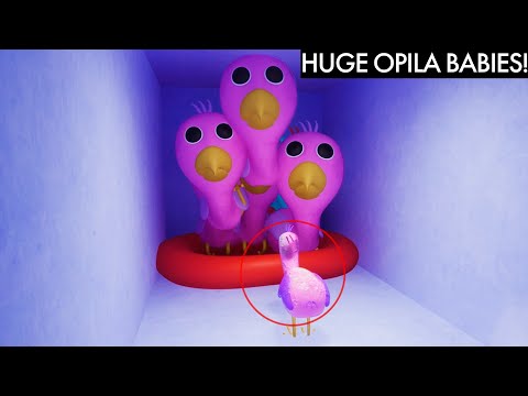 SMALL OPILA BIRD TAKES CARE OF THE HUGE BABY OPILA BIRDS! - GARTEN OF BANBAN CHAPTER 3