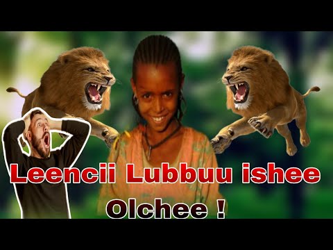 😳#Leenci_Itti_Marsee Lubbuushee oolche Taate #Ajaabsiisaa Itiyoophiyaa keessa mudate