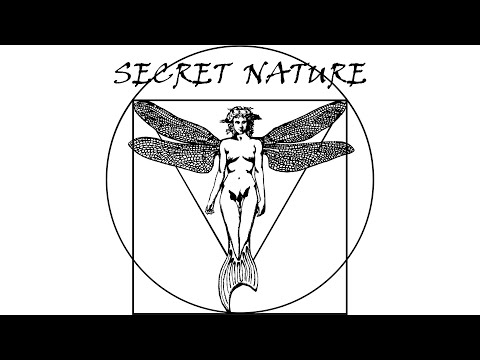 Hans Cousto zum Thema: "Veränderte Wahrnehmung mittels Stimmkunst und Psychonautik"