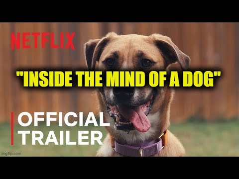 Netflix Nuttery: "Inside the mind of a dog"
