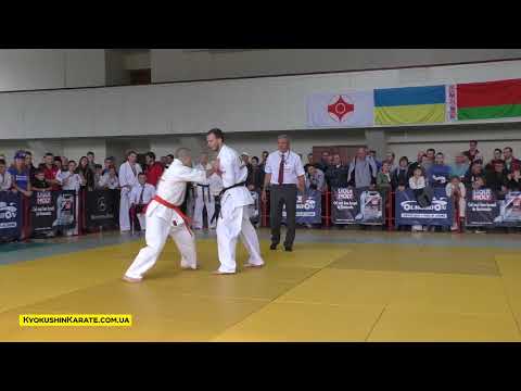 Moldova Open 2017 / -80 Gradinari Dorin (Moldova, aka) - Hrushenko Oleksandr (Ukraine)