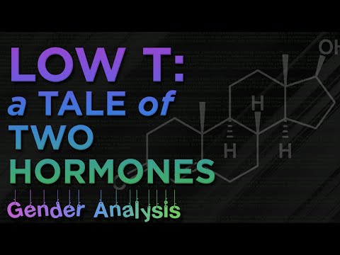 ジェンダー分析01。ローT：二つのホルモンの物語 (Gender Analysis 01. Low T: A Tale of Two Hormones)