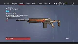 R6S