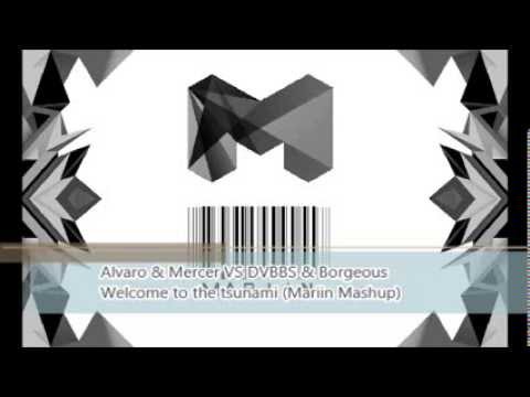 Alvaro & Mercer VS DVBBS & Borgeous Welcome to the tsunami (Mariin Mashup)