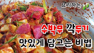 요리하는 농부 수박무 깍두기  아삭아삭  맛나게 담그는 비법,깍두기 담기는법