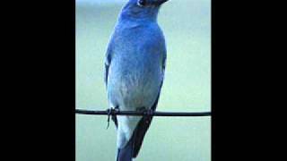 Kris Kristofferson - Jesus Was A Capricorn