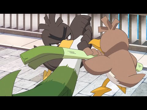 Farfetch'd Battle