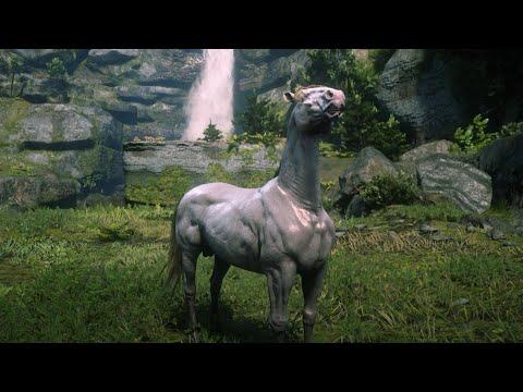 Domando o cavalo Andaluz Perlino! Red Dead Redemption 2