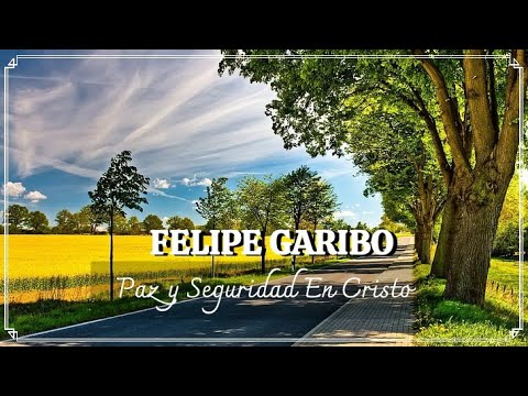 Confía En El - FELIPE GARIBO ( Un Canto Para Fortalecer Tu Alma )