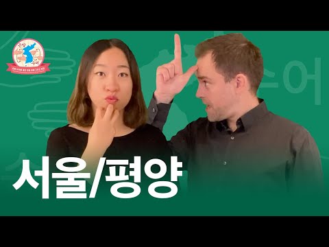 「평양」의 한국수어 표현