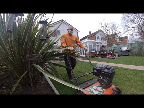 TLC to garden maintenance job scarify, seed and feed