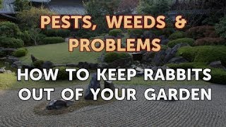 How to keep Rabbits out of your Garden