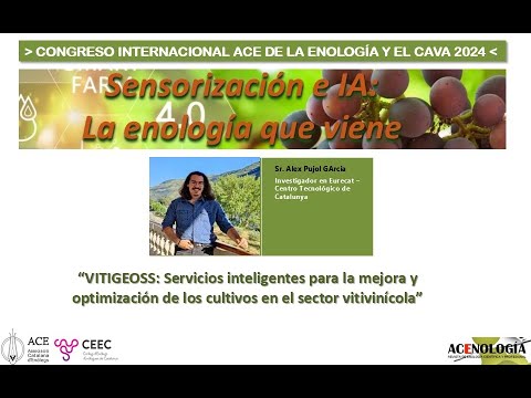 Fotograma del vídeo: VitiGEOSS: servicios inteligentes para optimización de cultivos vitivinícolas, por A. Pujol Garcia