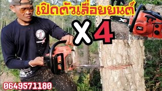 เปิดตัวเลื่อยยนต์​ X4 ตัดโค่นไม้สะเดา