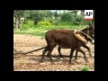 Village Re Creates Life At The Time Of Jesus