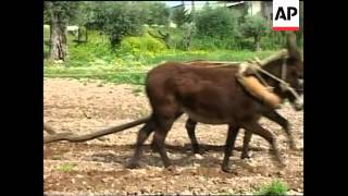 Village re-creates life at the time of Jesus