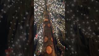 Frankfurt begins their Christmas celebrations! Do plan to visit the Fr