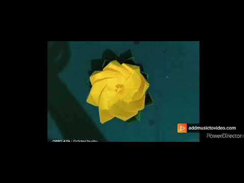 How to make a beautiful origami flowers/ made by reetika Adhikari🙂