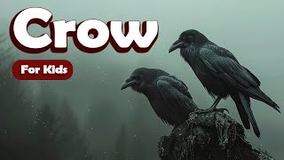 Crow for Kids | Learn About Wild Animals for Kids gameplay video by Brooke Butterfly, 2:55 duration