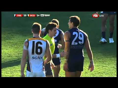 Pav on report - AFL