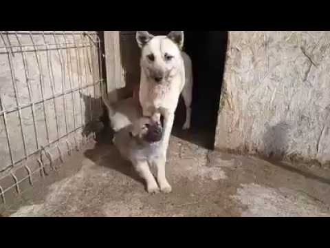 NITAY - Ausgereist 13.09.2018