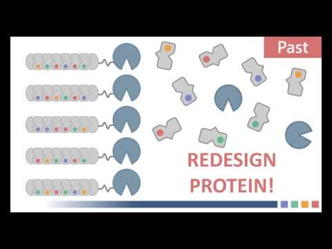 CRISPR/Cas9 in a nutshell