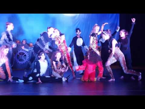 Cats Dress Rehearsal