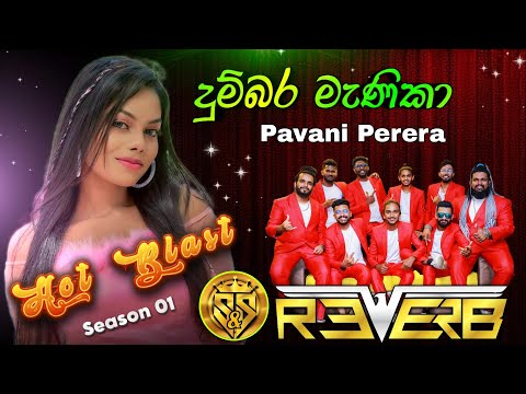 Dumbara Manika | Pavani Perera with Reverb Band | S & S Entertainment Hot Blast Season 01