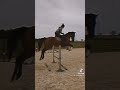 Лошади из Тик Ток ❤️🐎🐴