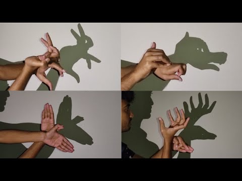 Hand Shadow Puppet Tutorial | Handicraft