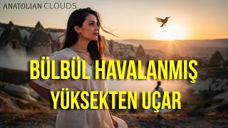 Bülbül Havalanmış Yüksekten Uçar | Psychedelic Anatolian Rock Cover