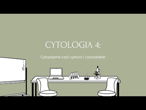 Kurs maturalny z biologii - Cytologia 4: Cytoplazma czyli cytozol i cytoszkielet