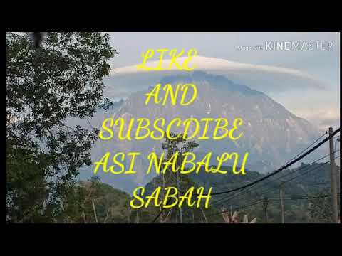 Sinur gasial; tajuk sayang kobujang