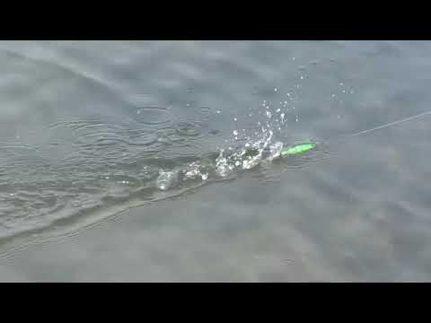 Whopper Plopper Fishing Lures Soft Rotating Tail