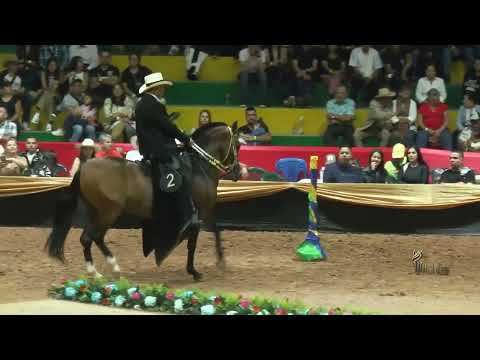 RESPLANDOR DE VILLA NELLY, PRIMER PUESTO CAMPEONATO JOVEN MACHOS TROTE Y GALOPE SAN ROQUE  2023