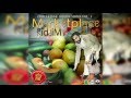 Marketplace Riddim Zion I Kings Riddim Series Vol 5 2016 Mix Promo By Faya Gong