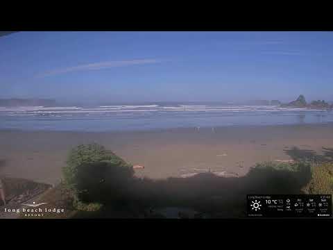 Live From Long Beach Lodge Tofino